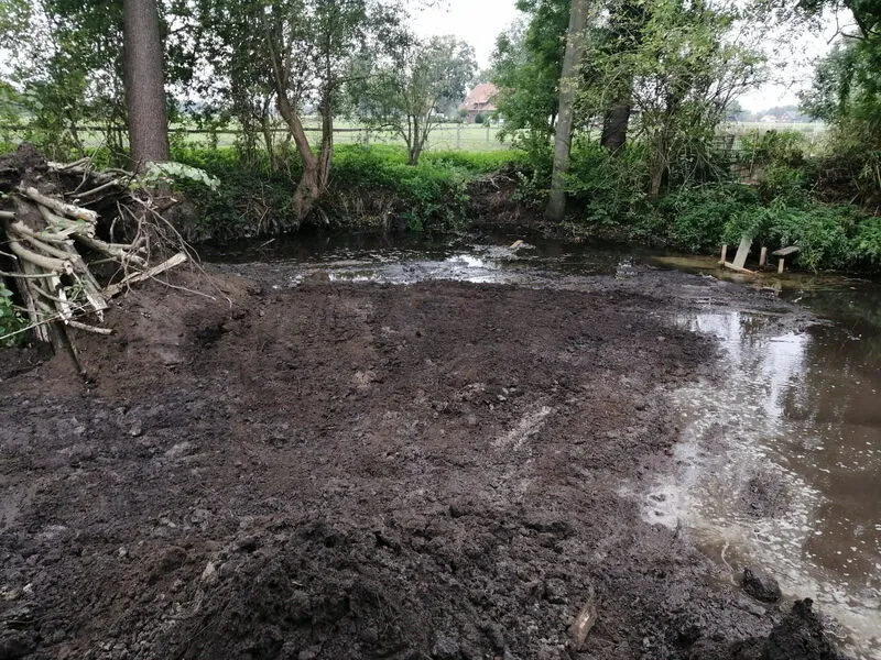 Neu modelliertes Ufer mit Wasserfläche und Gehölz