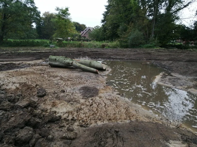 Eingebauter Baumstamm als Totholz in der Aue
