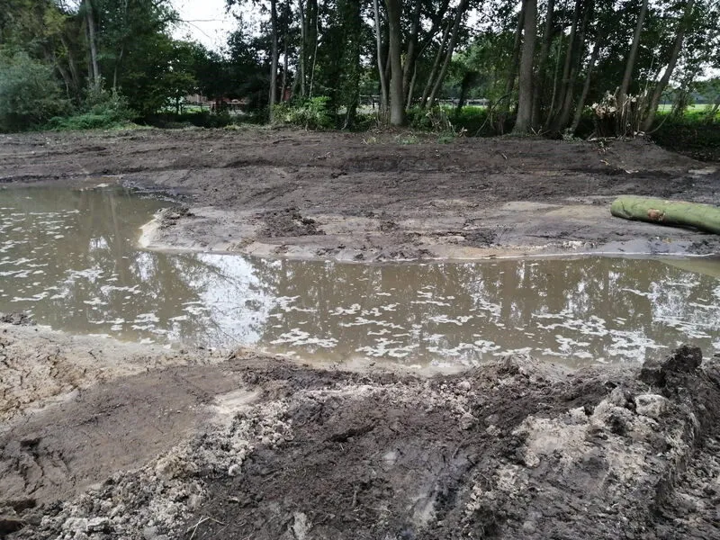 Flachwasserzone der Sekundäraue nach der Profilierung